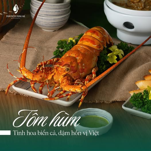Thưởng thức tôm hùm tươi chuẩn Halal tại Hanoi Halal Restaurant