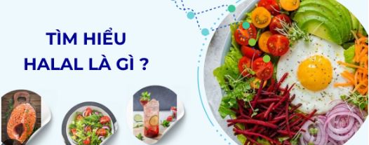 những điều cần biết về văn hóa ẩm thực halal